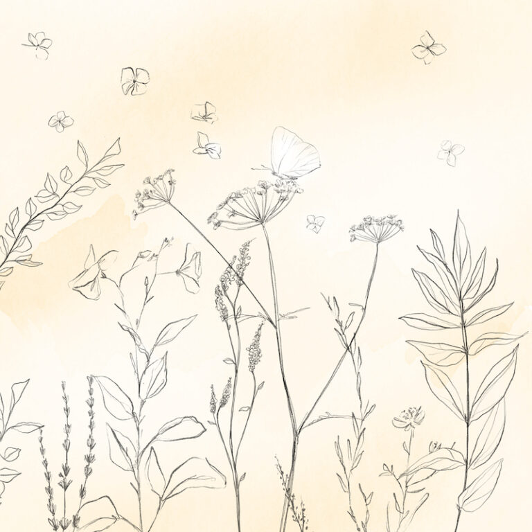 meadow sketch